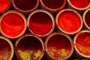 Gérer mon compte Paprika : accès et fidélité bio