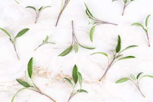 Sauge feuille bio : bienfaits et secrets d'infusion