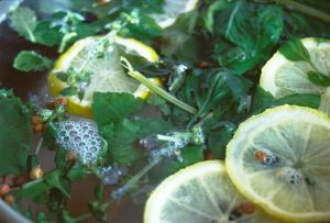 Infusion basilic citron bio : bienfaits et secrets de santé