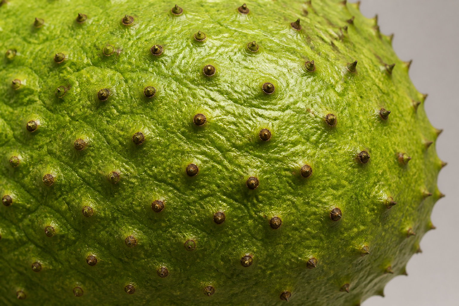 Le Corossol ou Soursop : une explosion de fraîcheur acidulée