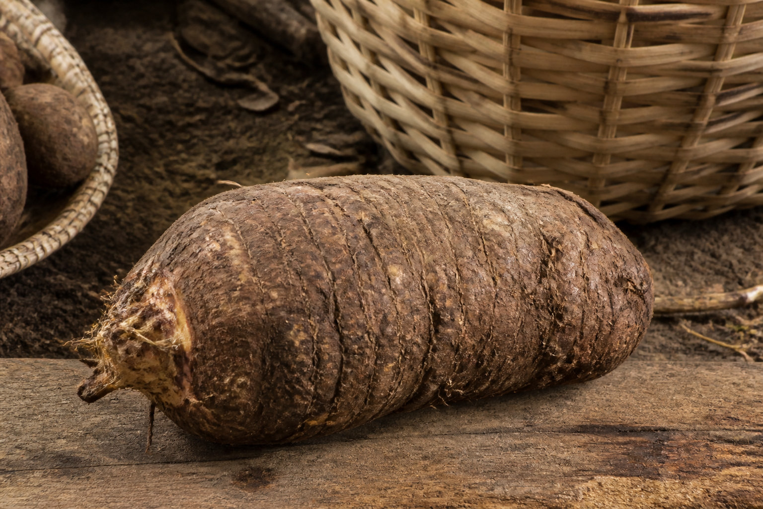 La dachine : le tubercule exotique méconnu