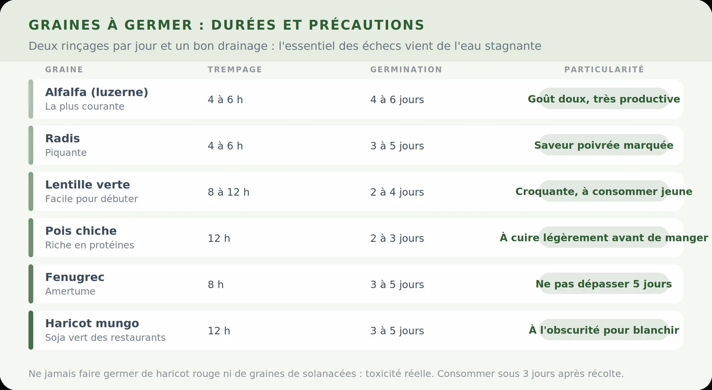 Graines à germer : durées et précautions