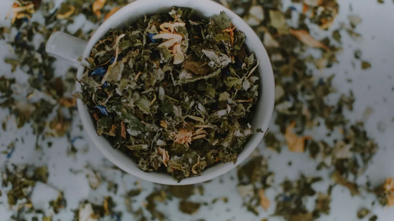 Tisane rhume : cinq plantes, doses et phases du rhume