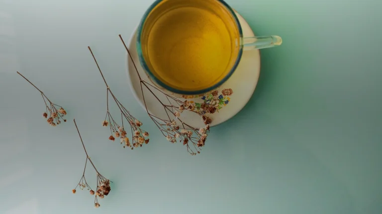 Tisane de pissenlit : feuille, racine, doses et précautions