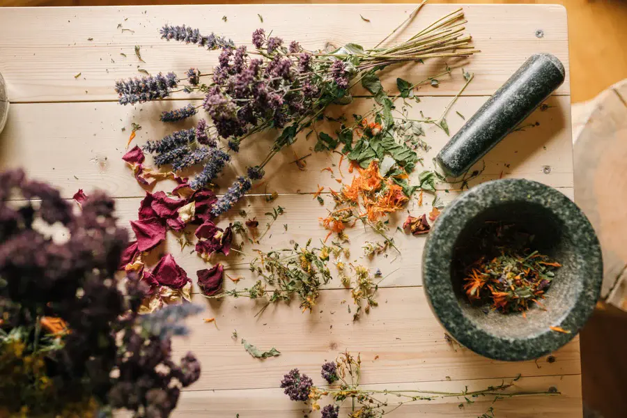 Plantes séchées et fleurs de tisane posées sur une planche en bois, à côté d'un mortier en pierre