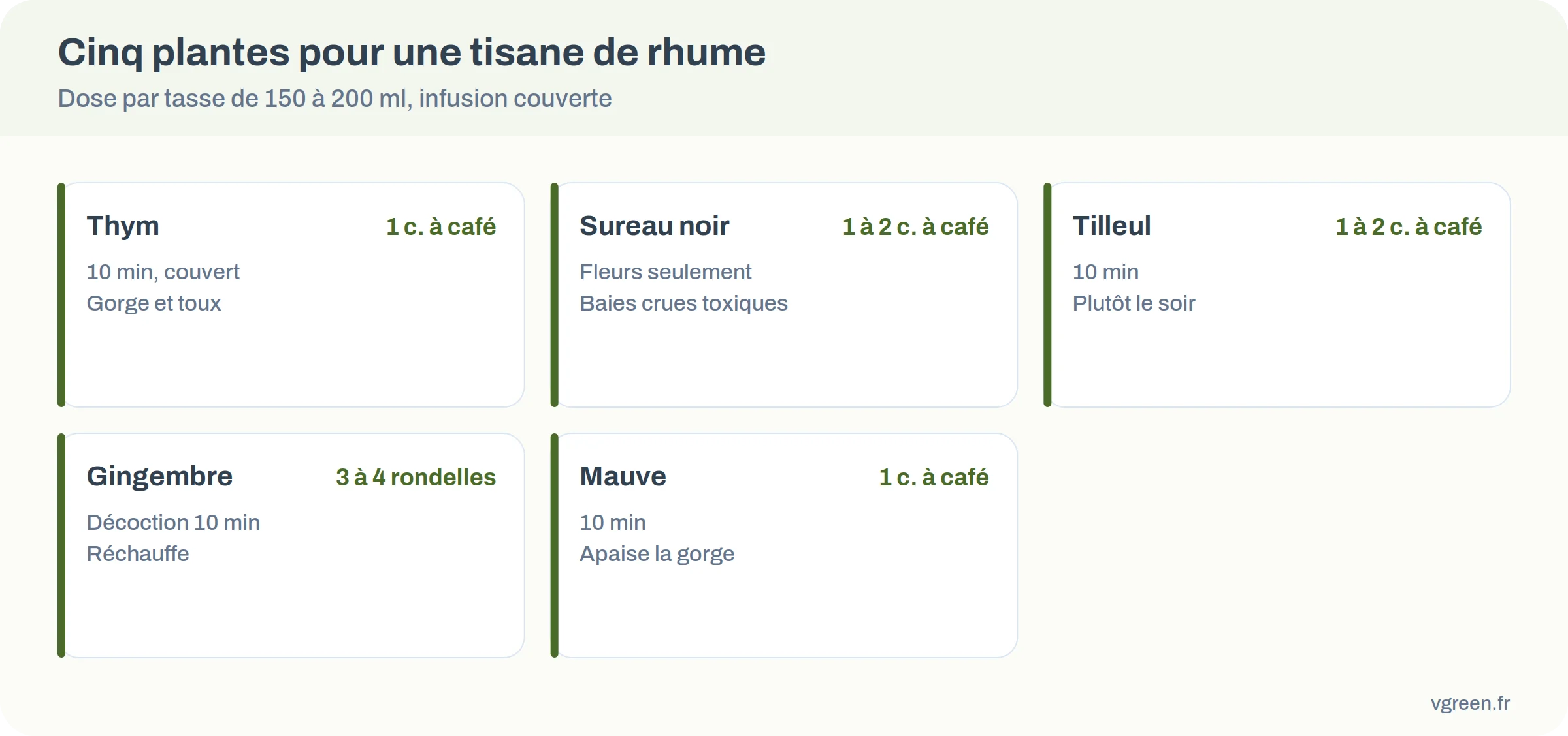 Cinq plantes pour tisane de rhume : thym, sureau, tilleul, gingembre, mauve, avec dose et temps d’infusion