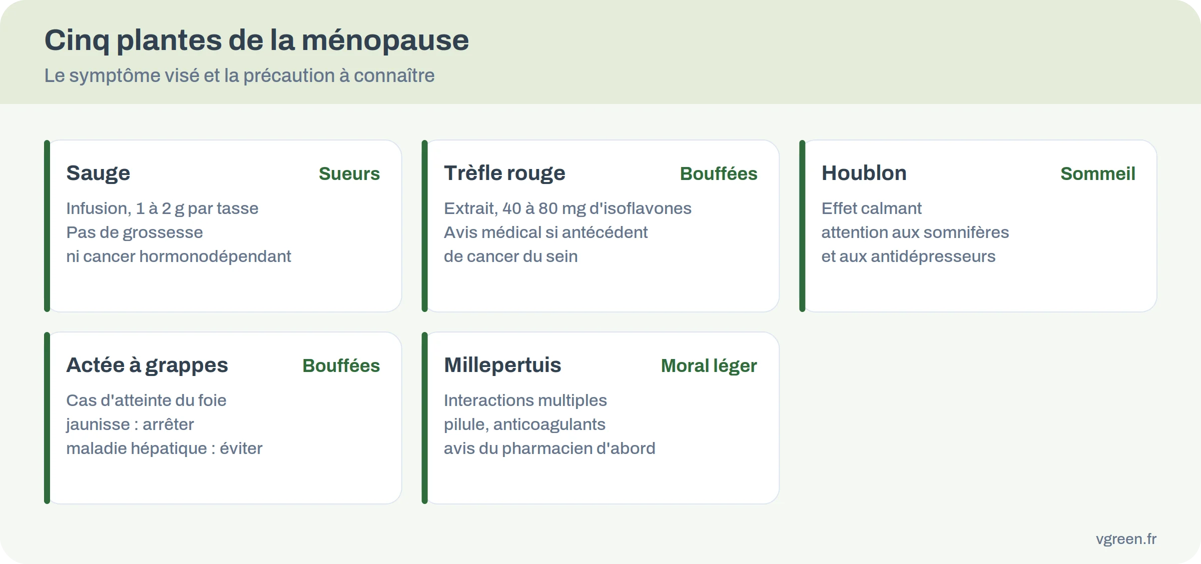 Cinq plantes de la ménopause : sauge, trèfle rouge, houblon, actée à grappes noires, millepertuis, avec leur symptôme visé et leur précaution