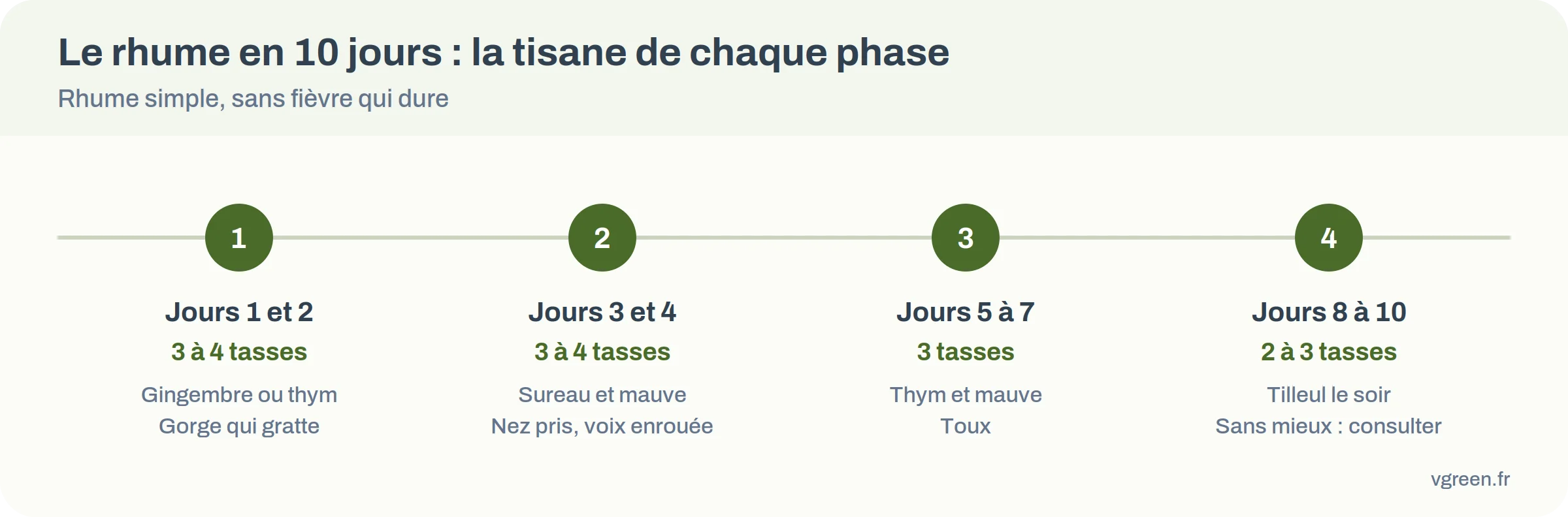 Frise d’un rhume sur 10 jours avec la tisane conseillée à chaque phase