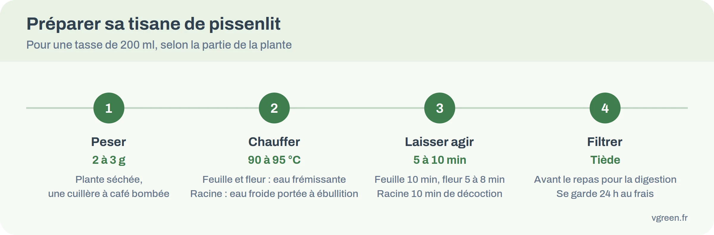 Préparation de la tisane de pissenlit en quatre étapes : peser, chauffer, laisser agir, filtrer