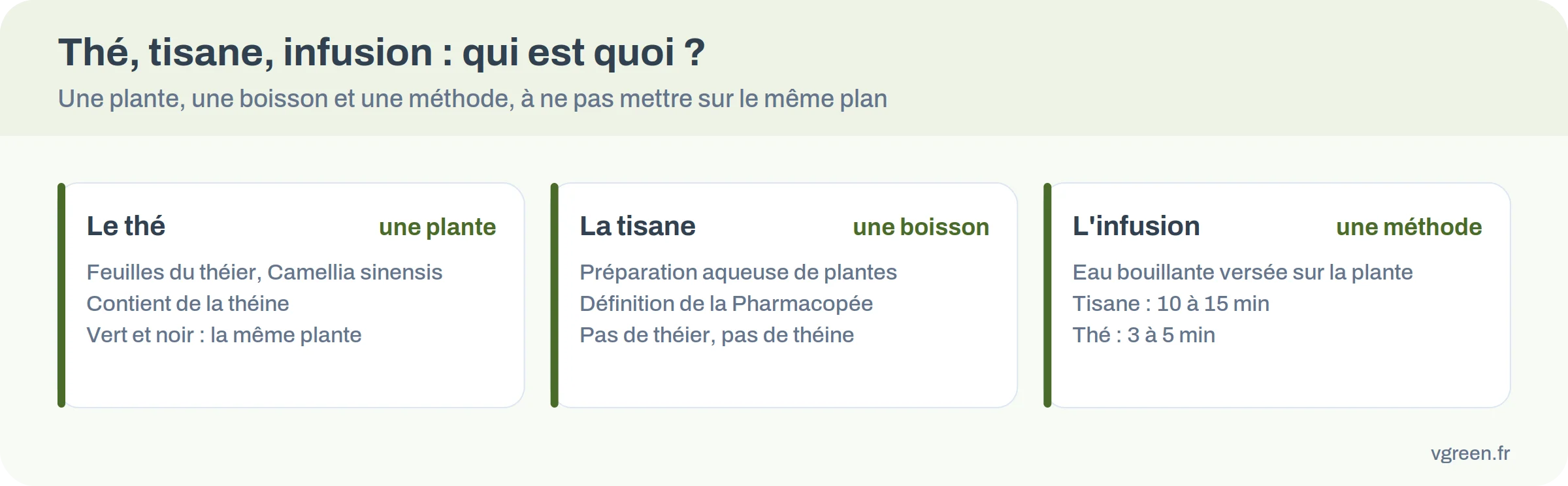Infographie : le thé est une plante, la tisane une boisson, l'infusion une méthode