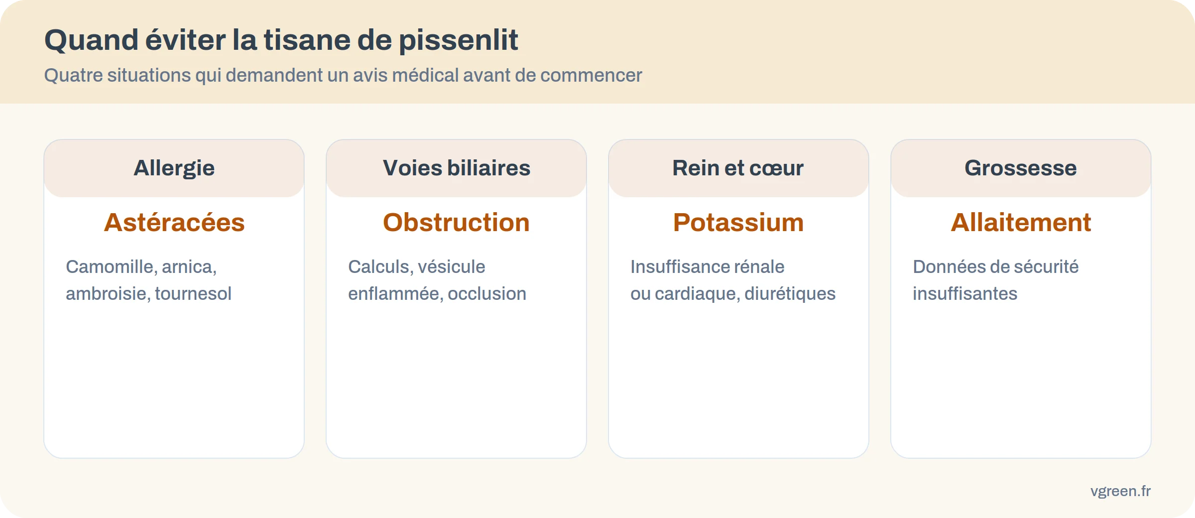 Quatre situations où éviter la tisane de pissenlit : allergie aux Astéracées, voies biliaires obstruées, atteinte rénale ou cardiaque, grossesse et allaitement